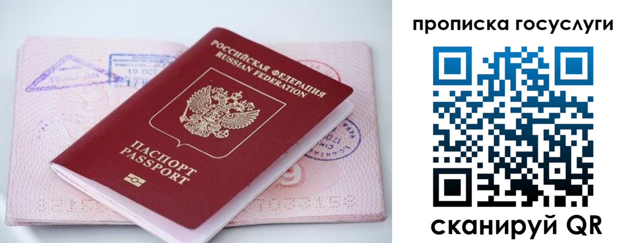 прописка законно в Шлиссельбурге